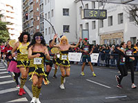Fotografias San Silvestre Salmantina