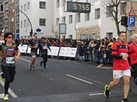 Fotografias San Silvestre Salmantina