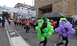 Fotografias San Silvestre Salmantina